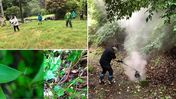 マダニ・ヤマビル駆除にケルヒャー「温水除草システム」活用