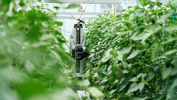 最新のピーマン自動収穫ロボット「施設園芸・植物工場展 GPEC」に出展　アグリスト