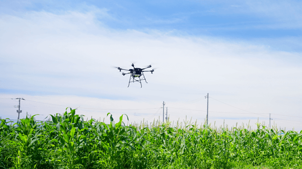 農業用ドローン「Nile-JZ」背の高いとうもろこしへの防除も可能に　ナイルワークス