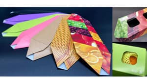 プラスチック100％削減　果物2玉用「紙ベジトレー」発売　エフピコチューパ