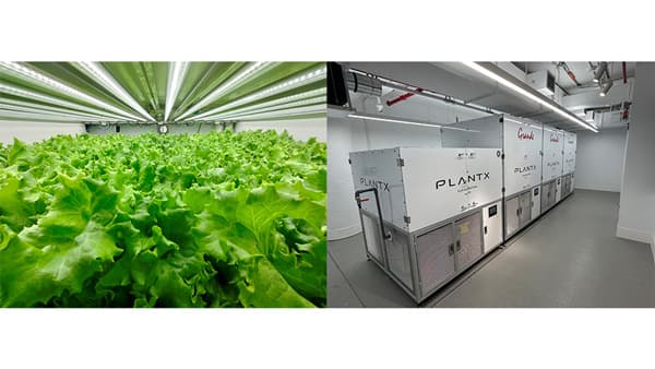 米国ニューヨーク市に人工光型植物工場のマーケティング拠点を開設　クボタ