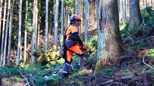 「モクコレ2024」に初出展　林業の課題解決へマッスルスーツ提案　イノフィス