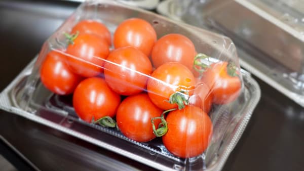 自動包装機対応ミニトマト容器「CFRシリーズ」に250g対応品を追加　エフピコチューパ