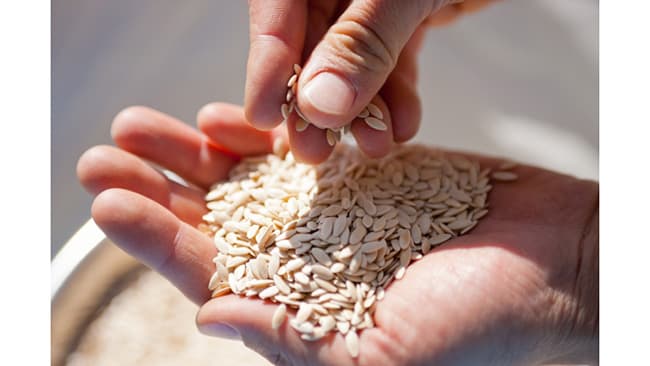 農業情報活用プラットフォーム「オアシス」が商品購入可能に