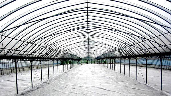 多層構造の難透過性農業用ＰＯ系フィルム発売　東罐興産