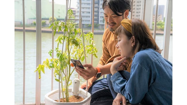 アグリセンサーで未来の野菜栽培を　クラウドファンディングで先行発売