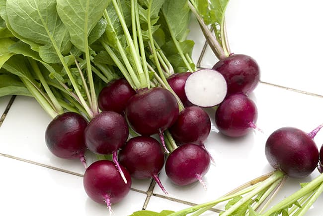 「ルビーコメット」の種子を販売　丸型ラディッシュの新品種　タキイ種苗