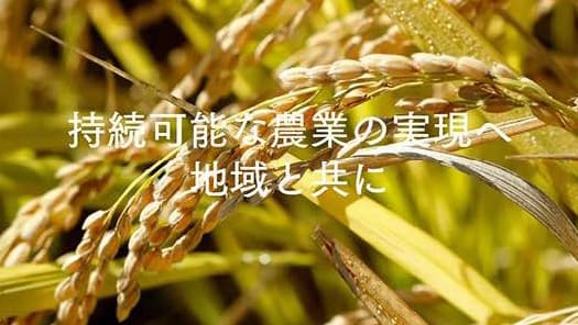 賀茂プロジェクトがウェブサイトを公開　サタケ