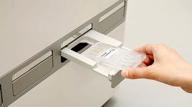 米・炊飯米品種鑑定サービス　対象を350品種に拡充　サタケ