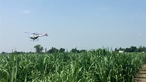 無人農薬散布サービスを海外で開始　グループ会社を通じてヤマハ発動機