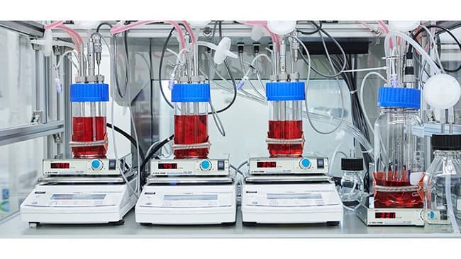 細胞培養でNEDO-PCAに採択　約2.4億円の助成対象事業者に決定　インテグリカルチャー