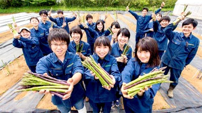 明大など産学連携　衛星・農業データの連携で栽培の高度化の実証試験開始