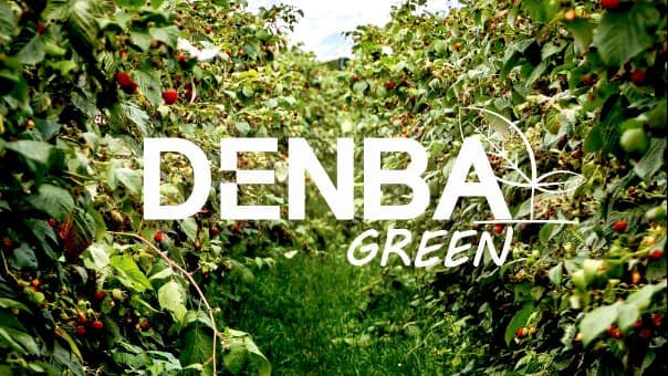成長促進、害虫被害の抑制、品質向上へ「DENBA GREEN」販売開始