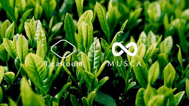 ムスカ有機肥料を用いたお茶の生産実証実験開始