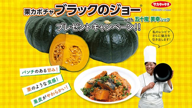 中華シェフとタッグ「ブラックのジョー」プレゼントキャンペーン実施　サカタのタネ