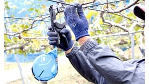 農業資材EXPO　梨やブドウの誘引作業を省力化「強保持力テープナー」展示　マックス