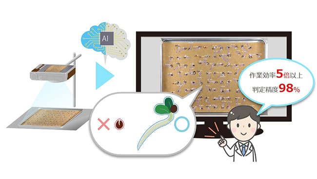 タキイ種苗が種の発芽検査に開発協力　AI支援で作業効率5倍以上に　NTTテクノクロス