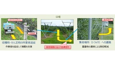 「おけさ柿」栽培の省力化へ自動走行運搬ロボット活用　実証実験開始　NSW