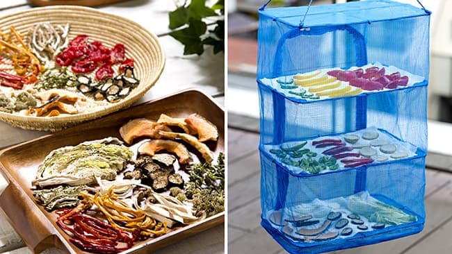 おうち時間が長い今年の冬は"干し野菜"に挑戦　タキイ種苗