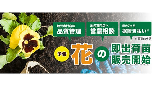 花の「即出荷苗」期間限定で取り扱い開始　オアシス