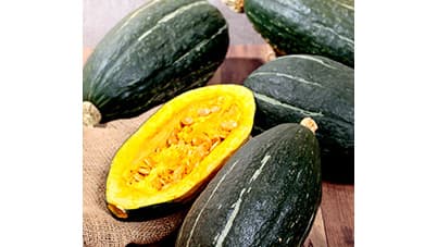 家庭菜園向けカボチャ新品種「スイートタックル」限定販売　サカタのタネ