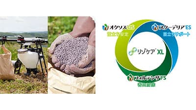 直播向け種子「リゾケアＸＬ」2021年販売開始－シンジェンタジャパン