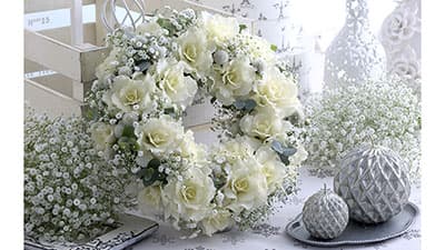 クリスマスは「冬の旬」花材ハボタンでおうちをゴージャスに　タキイ種苗