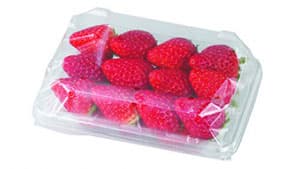 コロナ禍で「蓋」つきイチゴ容器の出荷数量を拡大へ　エフピコチューパ