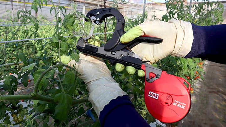 ステープル詰まりを低減　園芸用誘引結束機「楽らくテープナー」新発売　マックス