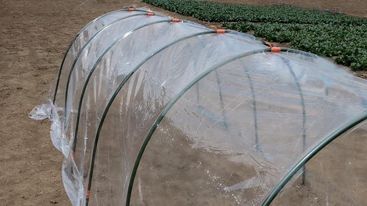 どんな支柱もキャッチ　農業用「緑の支柱専用パッカー」新発売　サン・フローラ