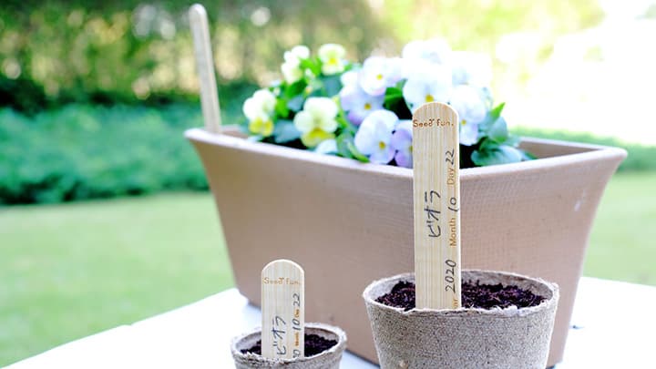 タネまきの先の楽しさも応援「くり返し使える竹ラベル」新発売　サカタのタネ