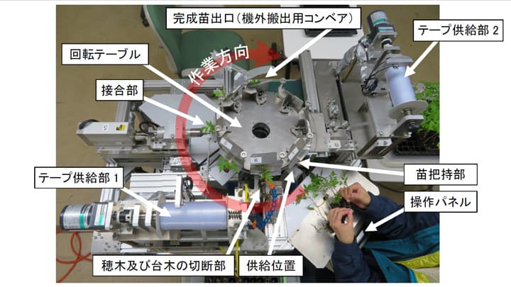 トマト用接ぎ木装置を開発　農研機構が企業と共同研究