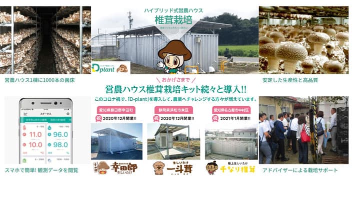 ハイブリット式営農ハウス「D-plant」で農業挑戦をサポート　レンテック大敬