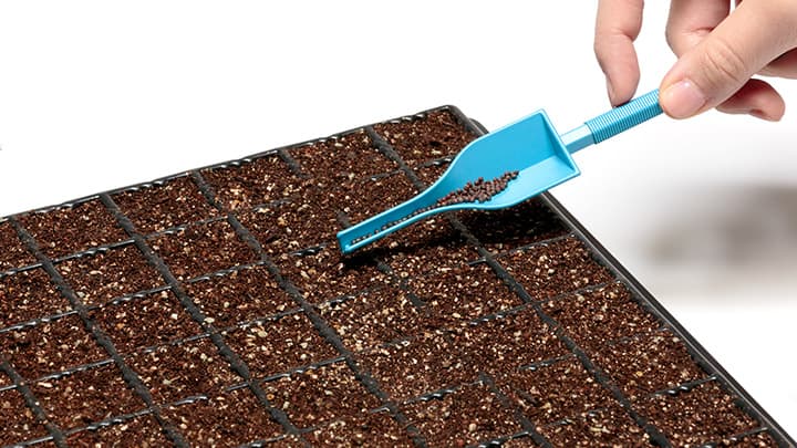 「丸いタネ」をまきやすく「カリカリくんＲ」新発売　タキイ種苗