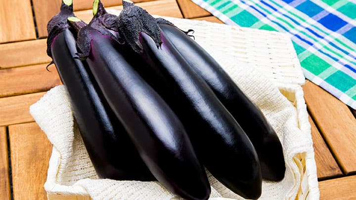 プランター菜園　人気のナス栽培のコツを紹介　タキイ種苗