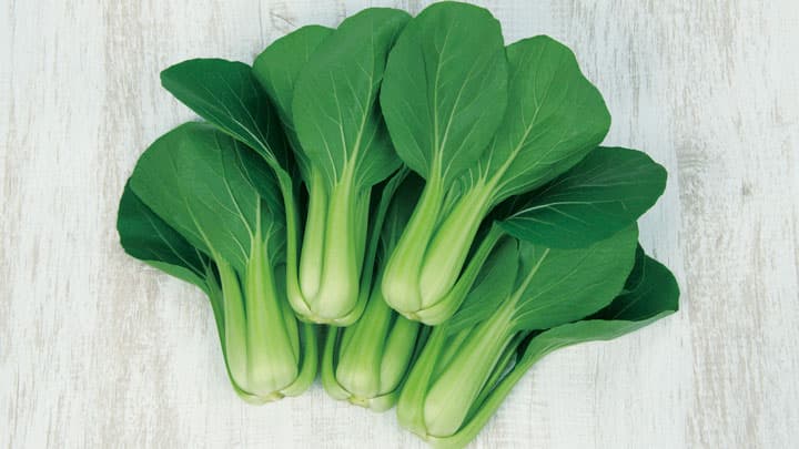 低温伸長性に優れるチンゲンサイ「翠勲」の種子発売　サカタのタネ