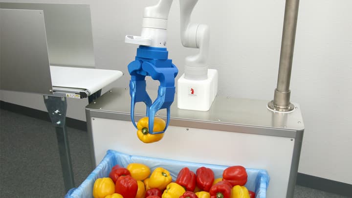 野菜投入ロボット用のビジョン＆ピッキングシステムを開発　アールティ