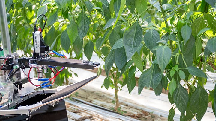 アグリテックのピッチコンテストで最優秀賞　農業ロボット開発　アグリスト