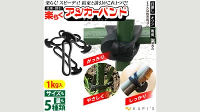 果樹誘引など屋外で使える結束バンド「楽らくアンカーバンド！」新発売　YKC Japan