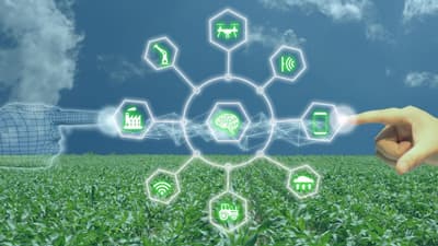 農業市場における人工知能　2021～2027年の予測期間にCAGR24％で成長予測