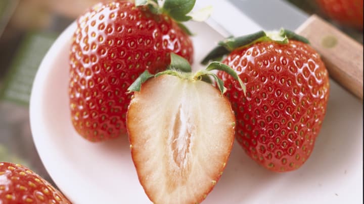 来春は自宅でイチゴ狩り「プランター菜園」イチゴ編　タキイ種苗