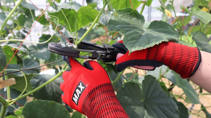 小さな手でも握りやすい園芸用誘引結束機「楽らくテープナー HT－R24C」新発売