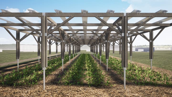 ソーラーシェアリング用木製架台「みらいのはたけ」グッドデザイン賞受賞　泉産業