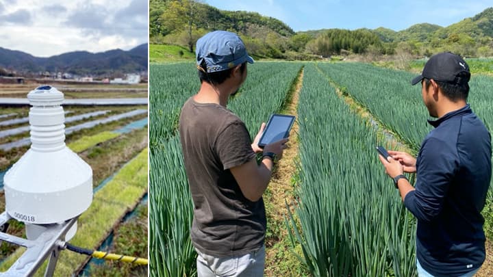 高性能気象IoTセンサー「ソラテナ」法人サービスに新機能　ウェザーニューズ