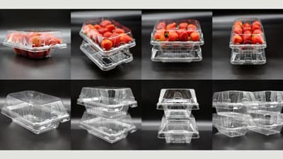 「蓋」つきイチゴ容器をリニューアル　エフピコチューパ