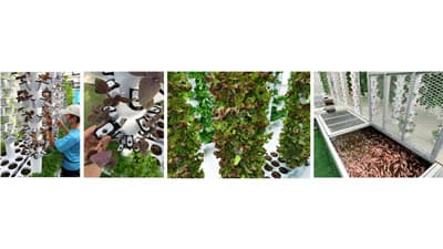 循環型農法「アクアポニックス」をパッケージ化「アクポニハウス」提供開始