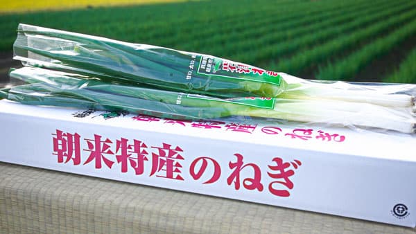 兵庫県の伝統野菜「岩津ねぎ」冬の大雪から守るためCF開始　ファントゥ