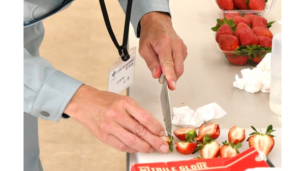 収穫最盛期の「露地イチゴ」栽培農家12軒による品評会開催　大阪府高槻市