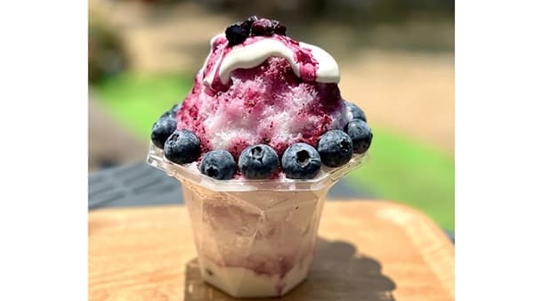「農家が作る本格フルーツかき氷」　自家農園の完熟ブルーベリー使用の新メニュー　アグリハニー