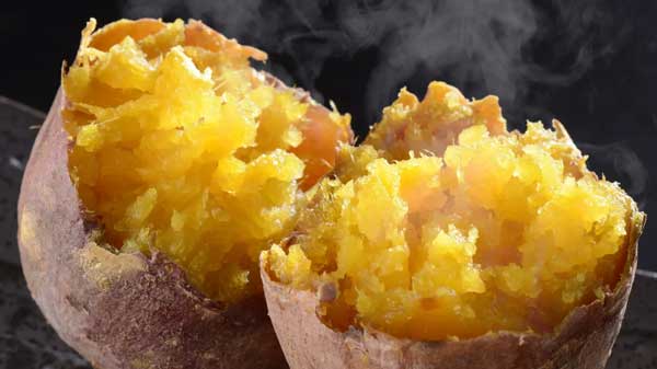 長崎県・五島列島「ごと芋」日本さつまいもサミットで大会初の殿堂入り